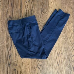 Ann Taylor Navy Ankle Pants